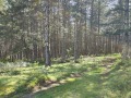 Продава  Земеделска земя област Благоевград , гр. Гоце Делчев , 17 дка | 83259106 - изображение [6]