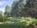 Продава  Земеделска земя област Благоевград , гр. Гоце Делчев , 17 дка | 83259106 - изображение [5]