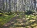 Продава  Земеделска земя област Благоевград , гр. Гоце Делчев , 17 дка | 83259106 - изображение [7]