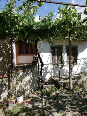 ����� ������� ����,��. �������, ������ �������>