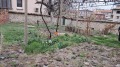 Продава КЪЩА, гр. Карлово, област Пловдив, снимка 9