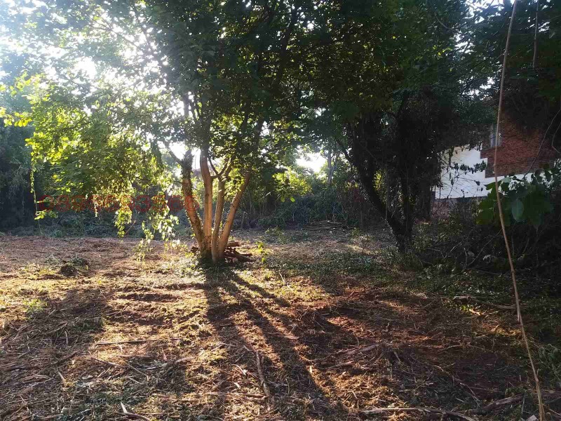 For Sale  Plot region Pernik , Galabnik , 2000 sq.m | 94306089 - image [5]