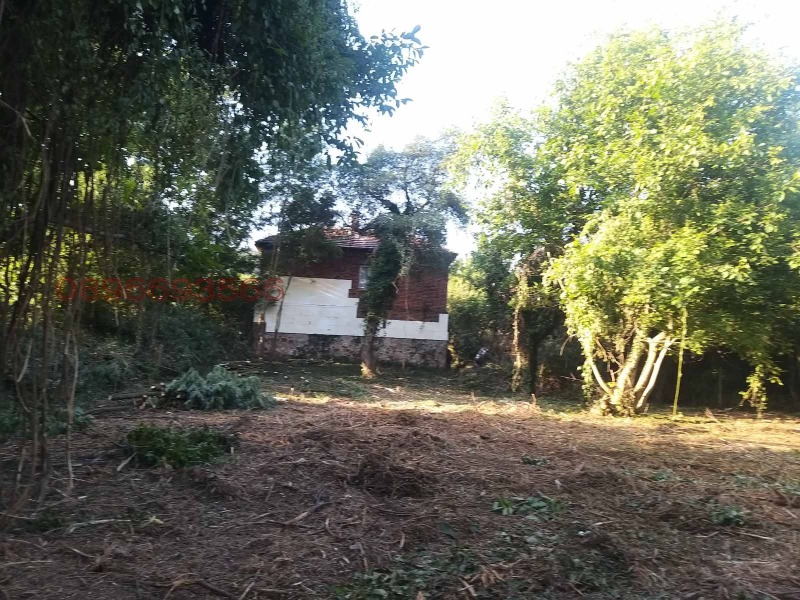 For Sale  Plot region Pernik , Galabnik , 2000 sq.m | 94306089 - image [2]