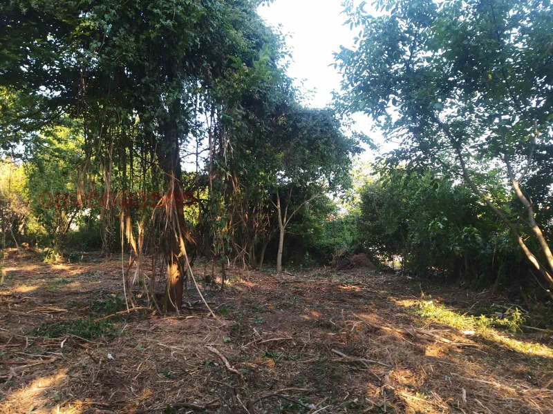 For Sale  Plot region Pernik , Galabnik , 2000 sq.m | 94306089 - image [6]