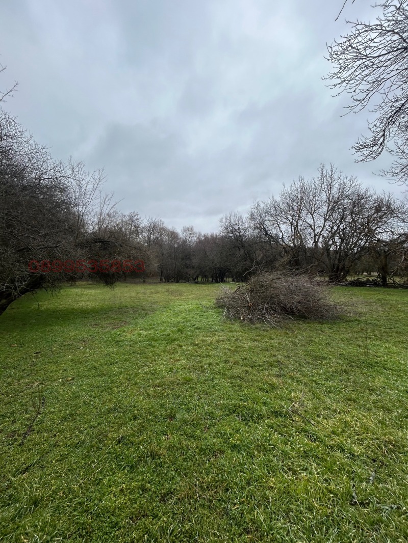 Продава ПАРЦЕЛ, с. Осоица, област София област, снимка 4 - Парцели - 53490746