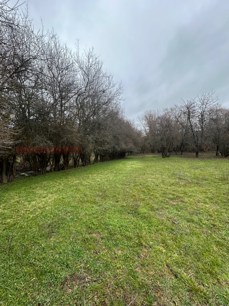 Продава ПАРЦЕЛ, с. Осоица, област София област, снимка 5 - Парцели - 53490746