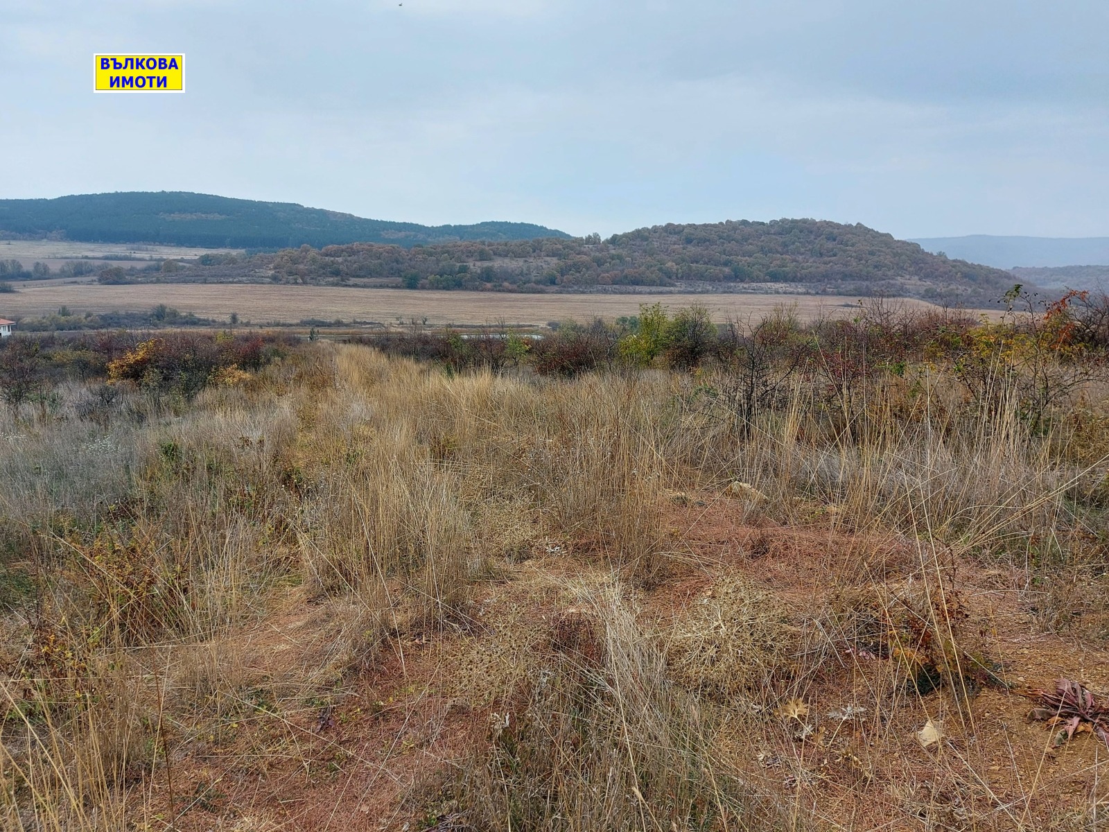 ������� ���������� ���� | Imot.bg � ����������� 1