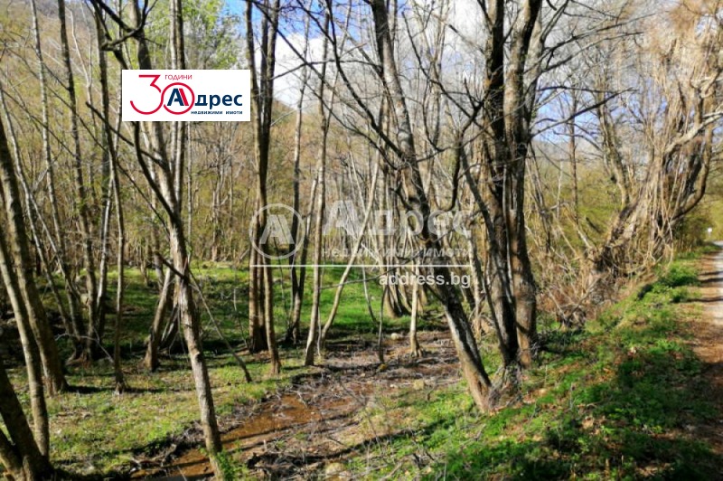 For Sale  Plot region Blagoevgrad , Lilyanovo , 5784 sq.m | 23686425 - image [4]