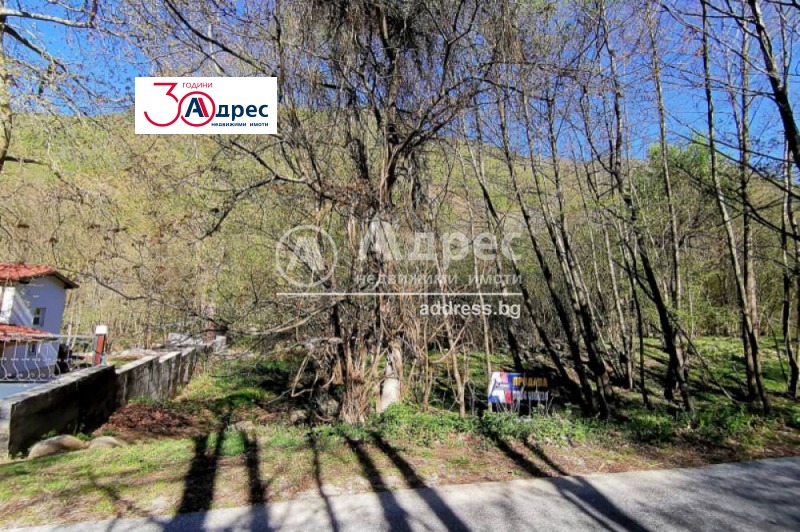 For Sale  Plot region Blagoevgrad , Lilyanovo , 5784 sq.m | 23686425 - image [2]