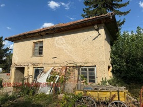 Hus Balkantsi, region Veliko Tarnovo
