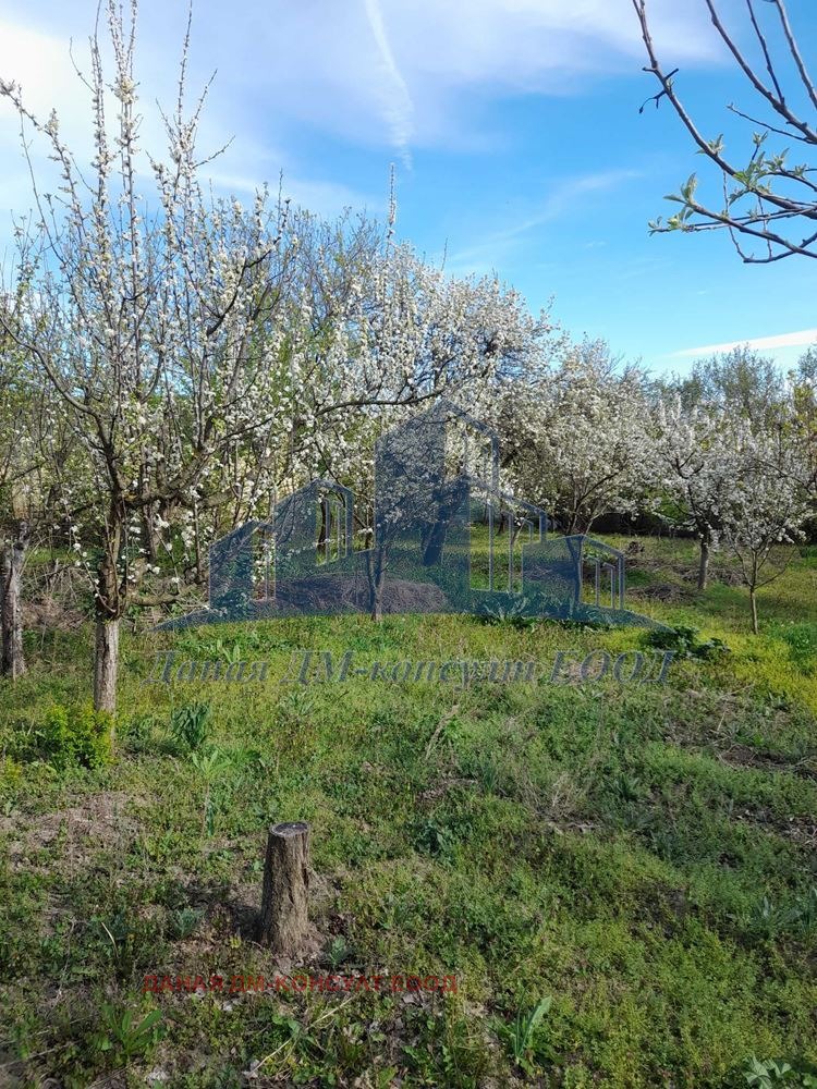 Na prodej  Dům oblast Shumen , Kjulevča , 85 m2 | 91435038 - obraz [10]