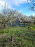 Продава КЪЩА, област Шумен, с. Кюлевча • 82000 лв. • 27908433 — Holmes.bg