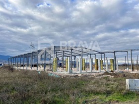 ����� ������� ����. ���������,���� �������, ������������ ���� - ��