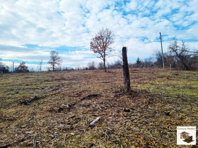 Продава  Парцел област Велико Търново , с. Момин сбор , 2000 кв.м | 55551840 - изображение [7]