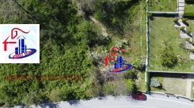 ������ ������� ������