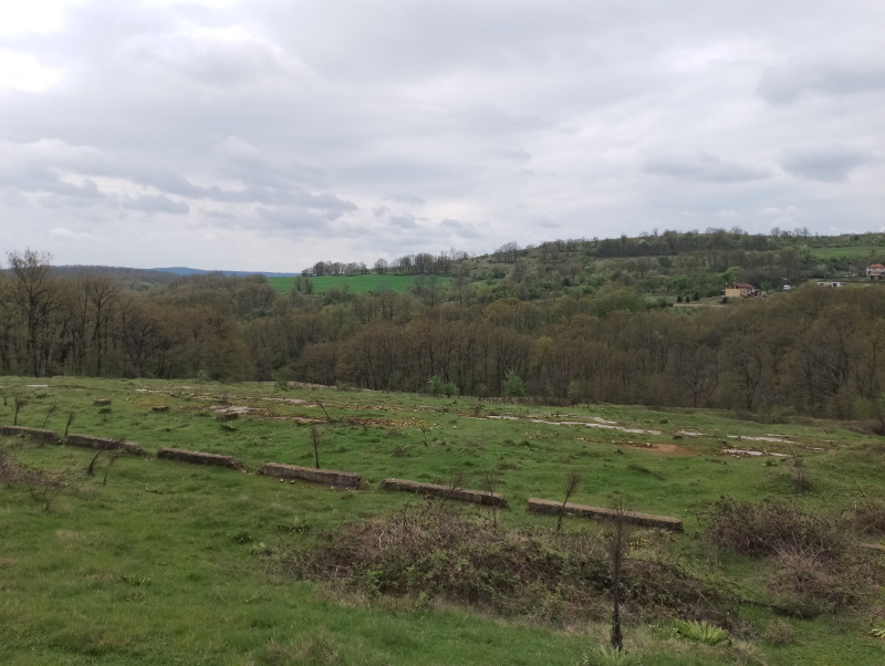 Zu verkaufen  Land region Varna , Solnik , 9 dka | 60752251 - Bild [2]