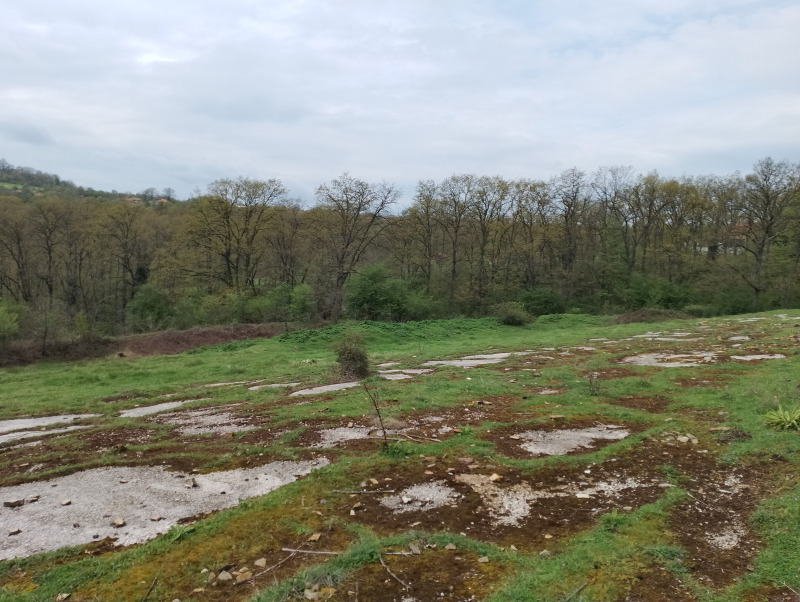 Zu verkaufen  Land region Varna , Solnik , 9 dka | 60752251 - Bild [12]