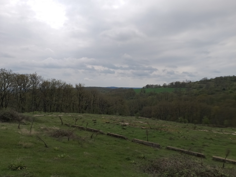 Zu verkaufen  Land region Varna , Solnik , 9 dka | 60752251 - Bild [10]