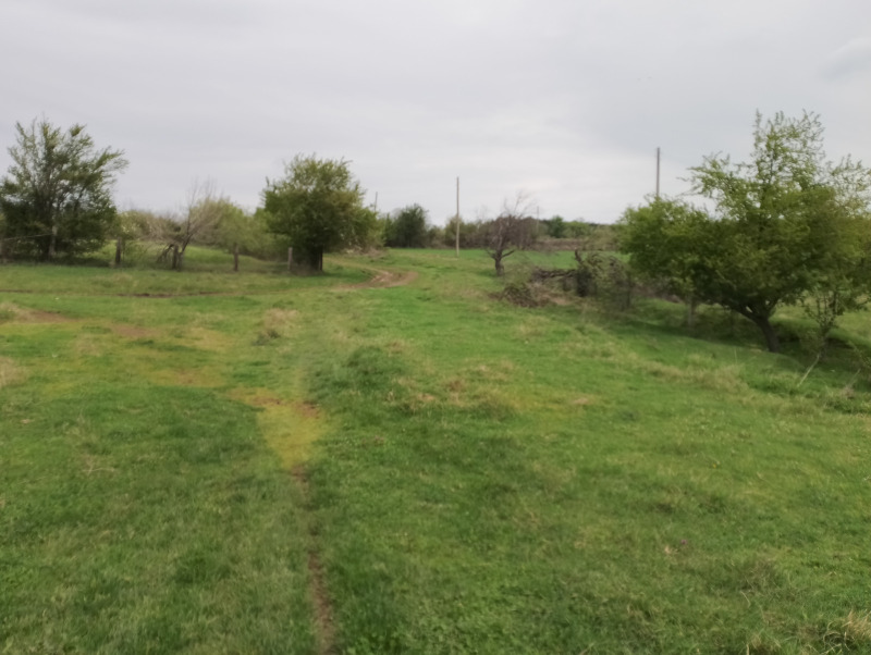 Zu verkaufen  Land region Varna , Solnik , 9 dka | 60752251 - Bild [9]