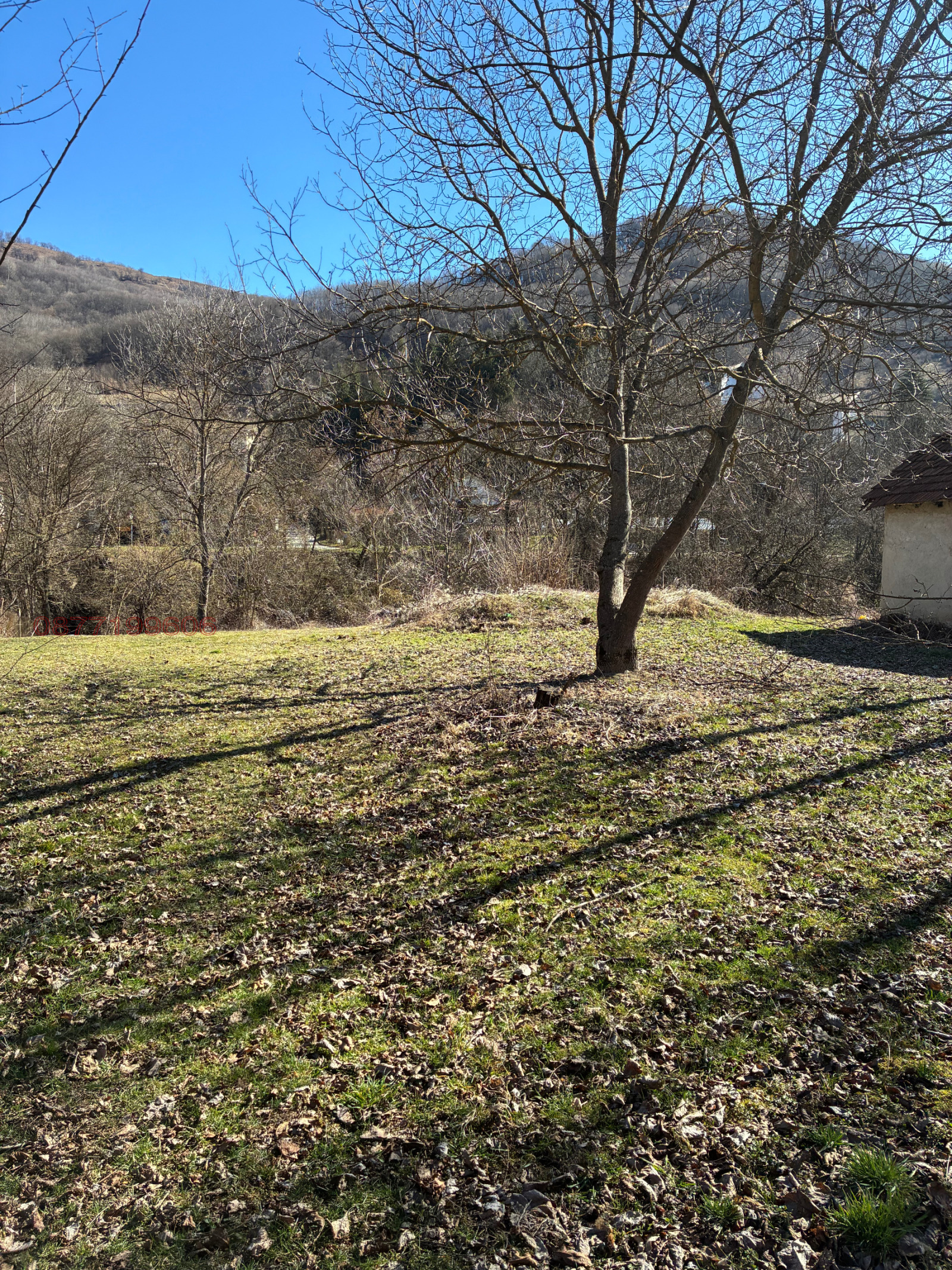 Продава ПАРЦЕЛ, с. Рибарица, област Ловеч