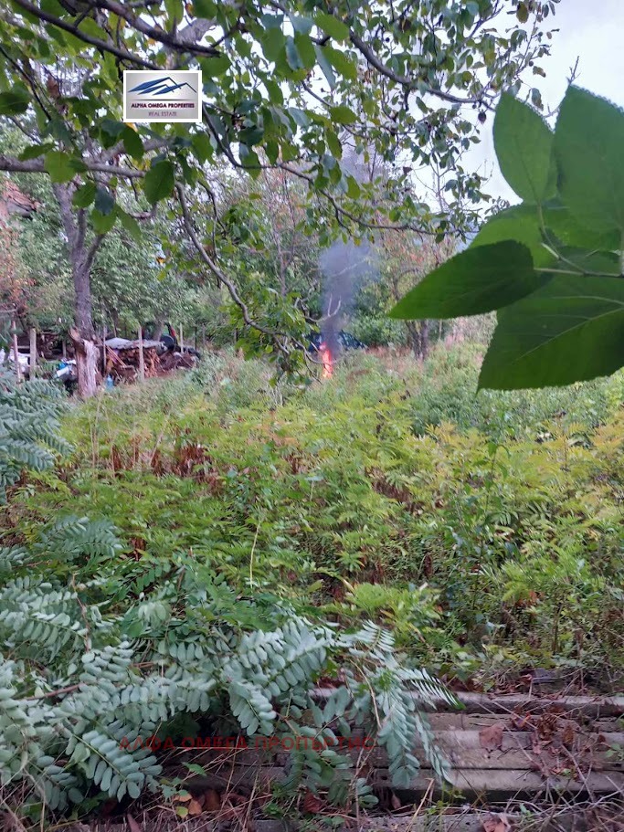 ������� ������ | Imot.bg � ����������� 2