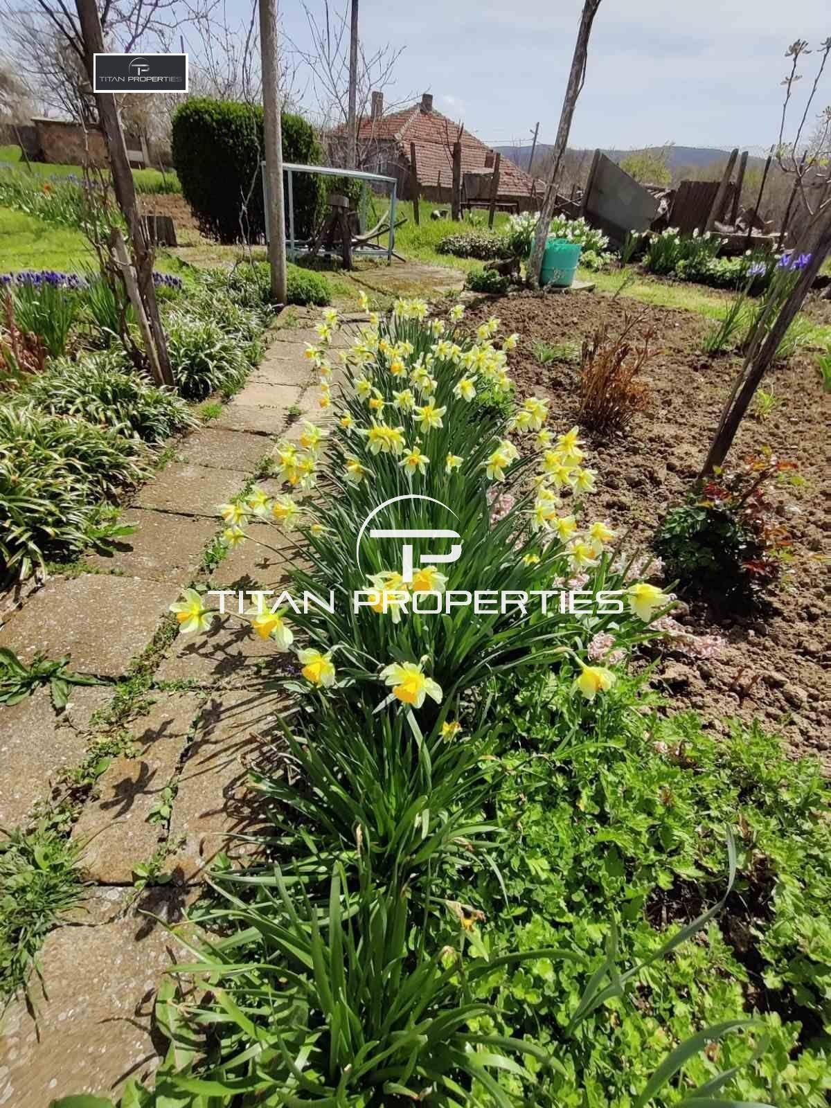 ������� ���� | Imot.bg � ����������� 13