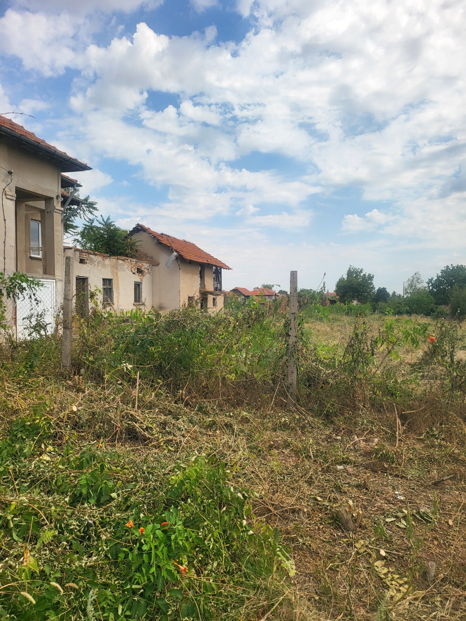 ������� ���� | Imot.bg � ����������� 1