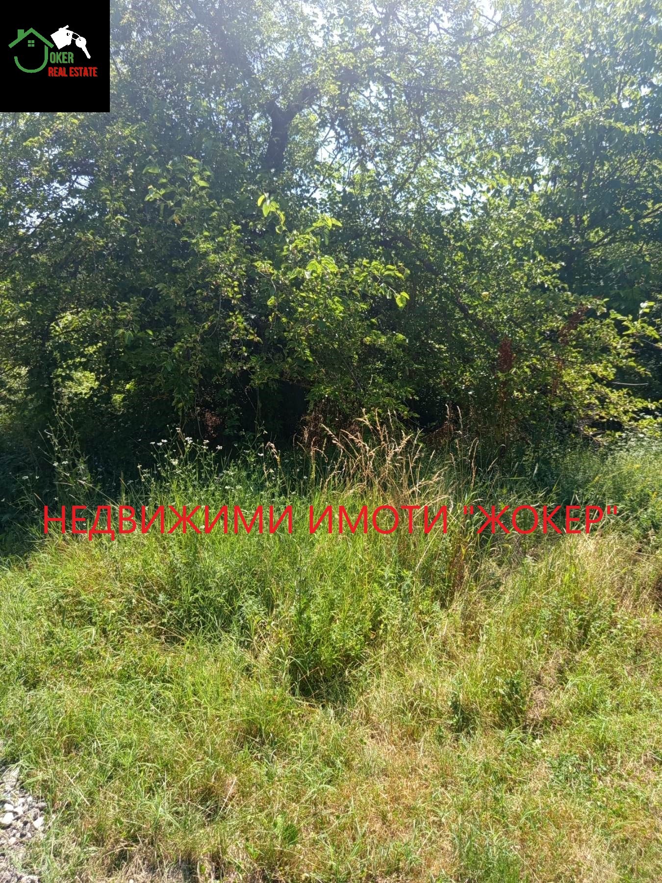 ������� ������ | Imot.bg � ����������� 3
