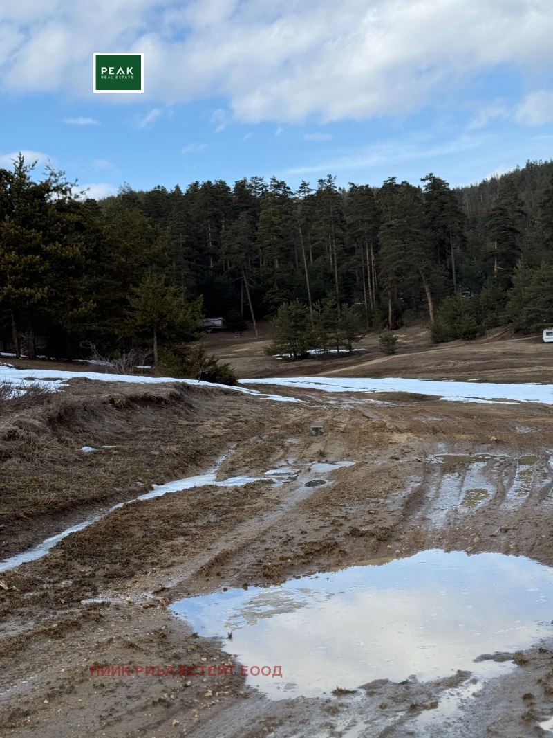 Продава ЗЕМЕДЕЛСКА ЗЕМЯ, гр. Батак, област Пазарджик, снимка 2 - Земеделска земя - 52318088