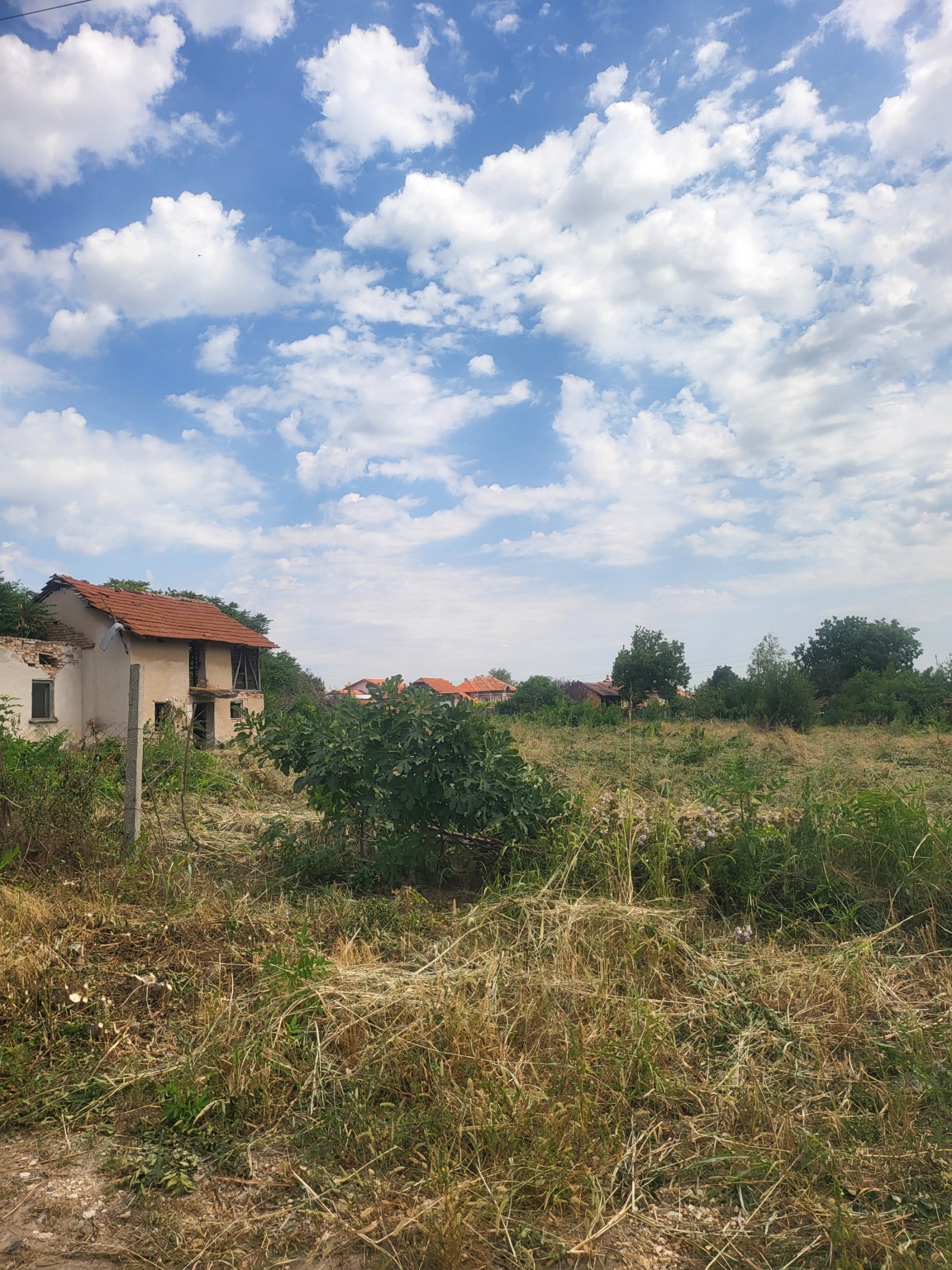 Продава КЪЩА, гр. Тръстеник, област Плевен, снимка 13 - Къщи - 55704954