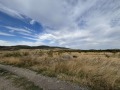 Продава ПАРЦЕЛ, гр. Стара Загора, Самара 3, снимка 2