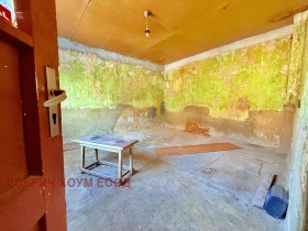 ����� ������� ����,���� ������, ������>