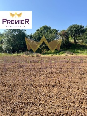 ����� ������� ������,�. ����������, ������ ������