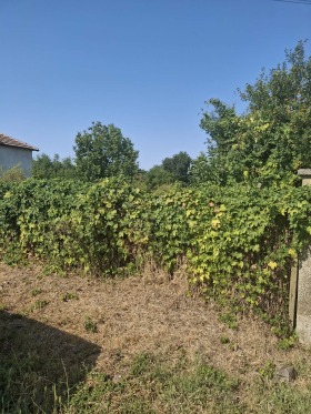 ������� ���� | Imot.bg � ����� ������ 8