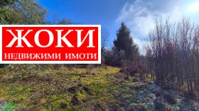 ����� ������� ������,�. ����������, ������ ������