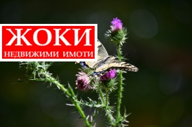 ������� ������ | Imot.bg � ����� ������ 16