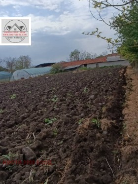 ����� ������� ������,�. ���������, ������ ����� ������