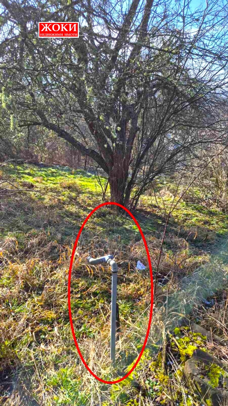 Продава ПАРЦЕЛ, с. Зелениград, област Перник, снимка 2 - Парцели - 53172337