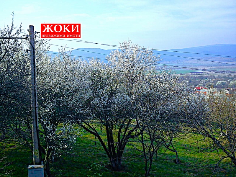 Продава ПАРЦЕЛ, с. Зелениград, област Перник, снимка 3 - Парцели - 53172337