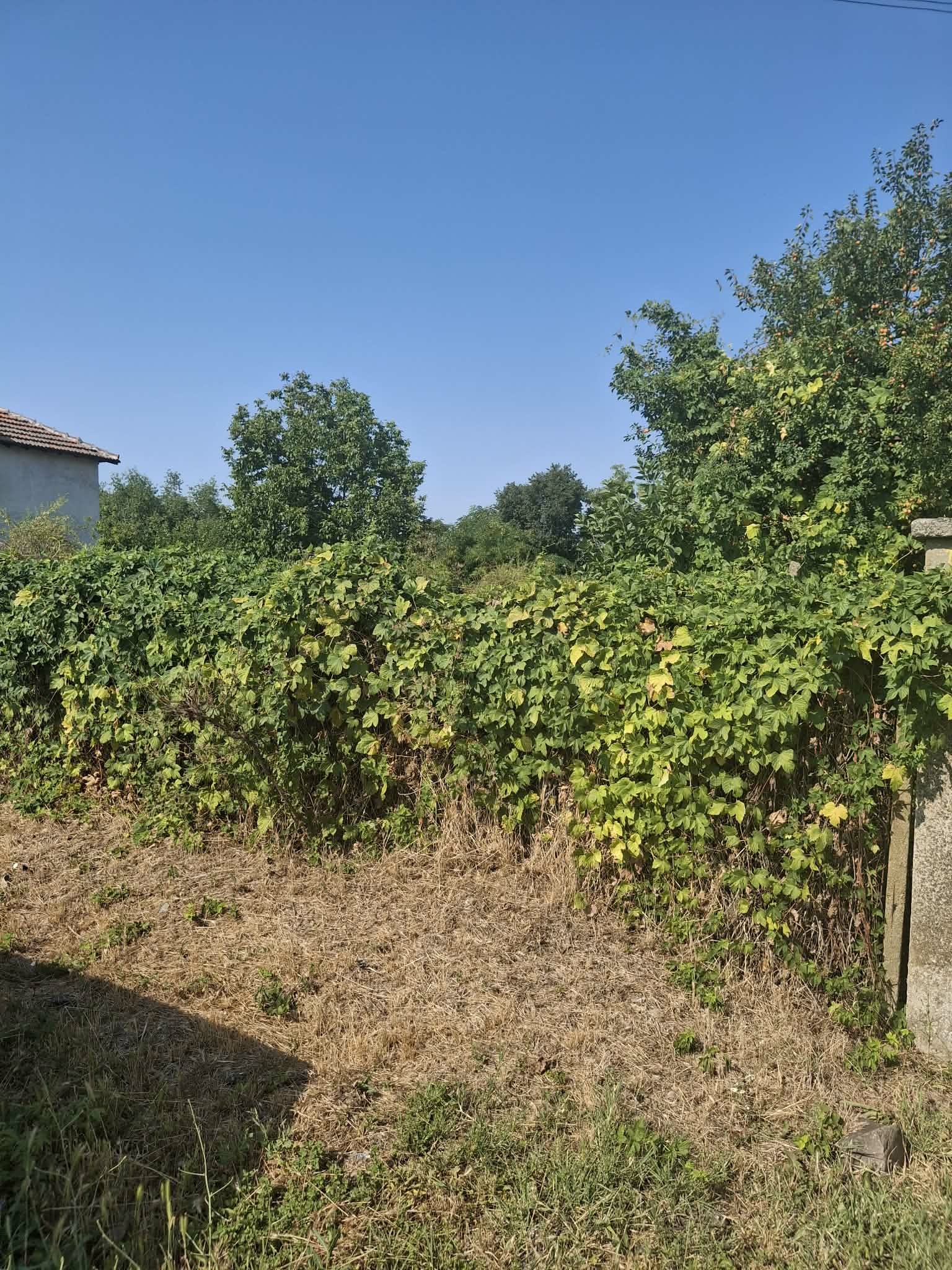 Продава КЪЩА, с. Палаузово, област Ямбол, снимка 8 - Къщи - 55722361