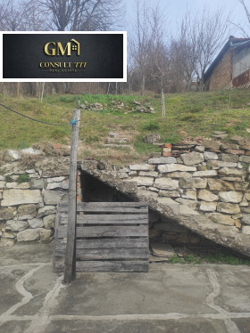 ������ ������� ����