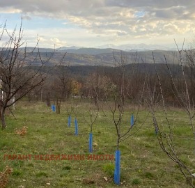 ПАРЦЕЛ, 650 m2