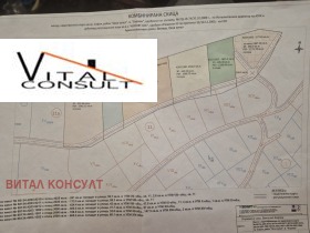 ����� ������� ������,���� �����, ����� ����