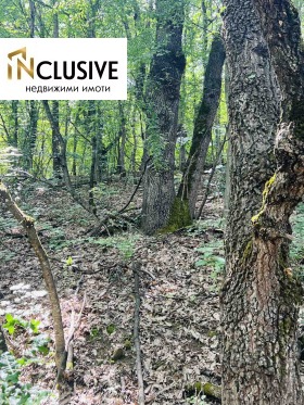 ������� ������ | Imot.bg � ����� ������ 5