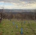Продава ПАРЦЕЛ, гр. Габрово, Център, снимка 1