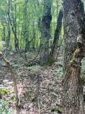 Продава ПАРЦЕЛ, с. Лопян, област София област, снимка 5