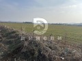 Продава ПАРЦЕЛ, град Стара Загора, Железник - център • 66000 лв. / 33745.26 € • 31337395 2