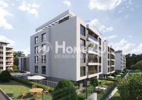 ������ ������� ����