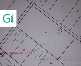 ����� ������� ������,���� �����������, ��������