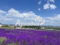 Продава ПАРЦЕЛ, с. Марково, област Пловдив, снимка 2